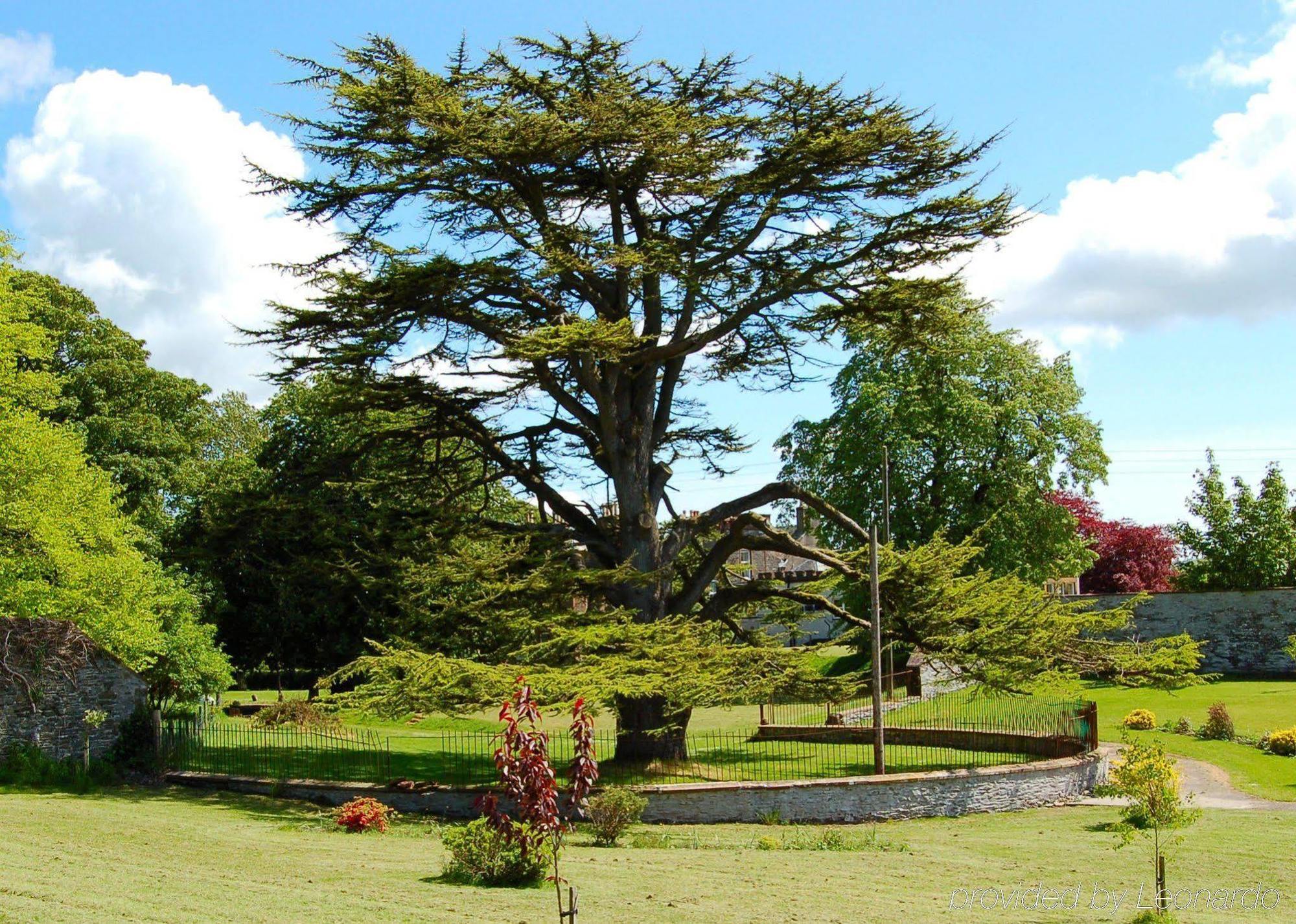 The Urr Valley Country House Hotel Castle Douglas Bagian luar foto
