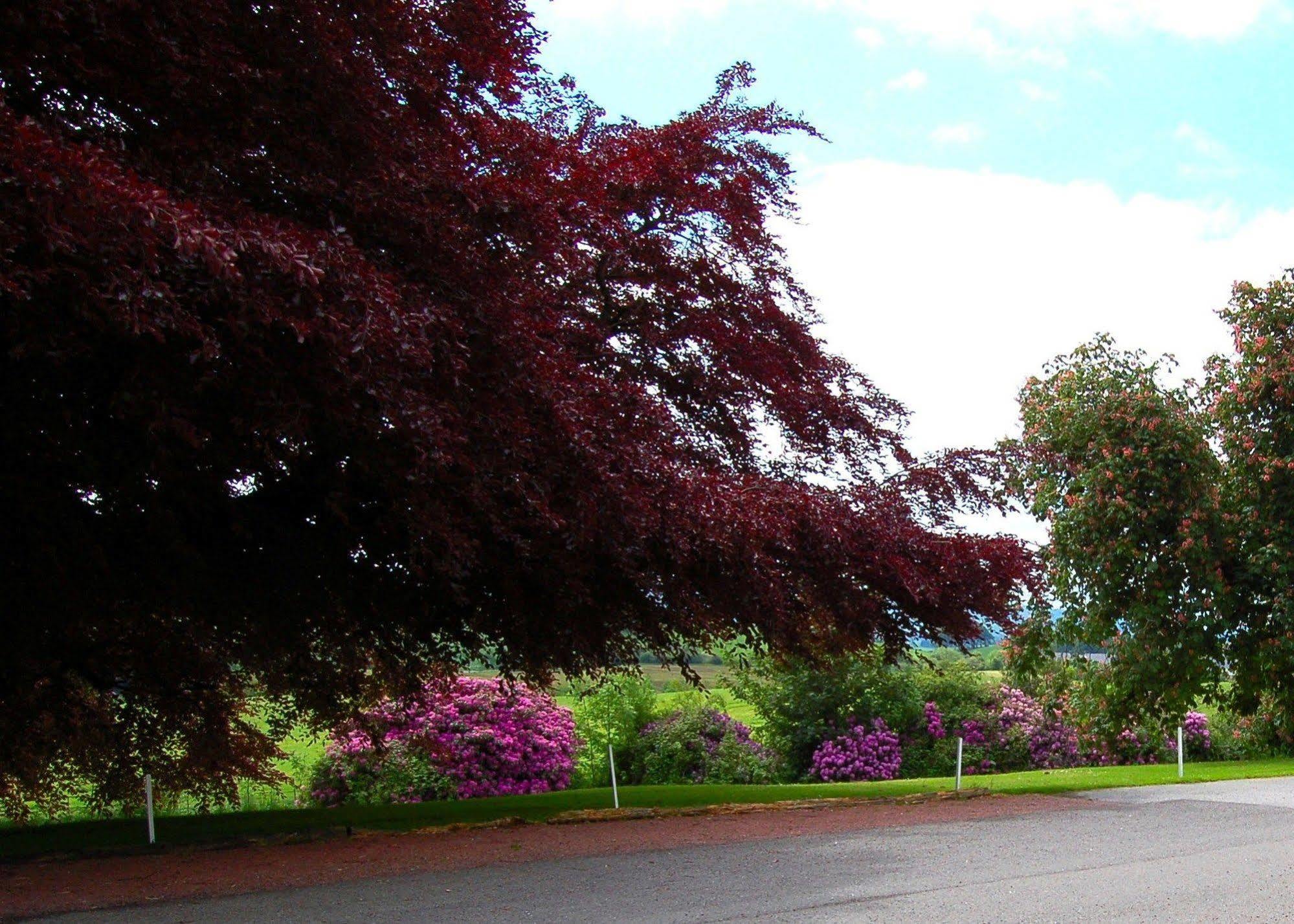 The Urr Valley Country House Hotel Castle Douglas Bagian luar foto